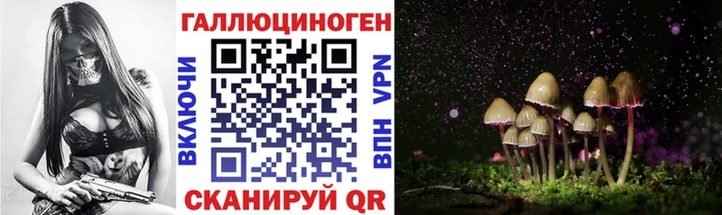 Псилоцибиновые грибы ЛСД  где купить   блэк спрут ссылка  Кемь 
